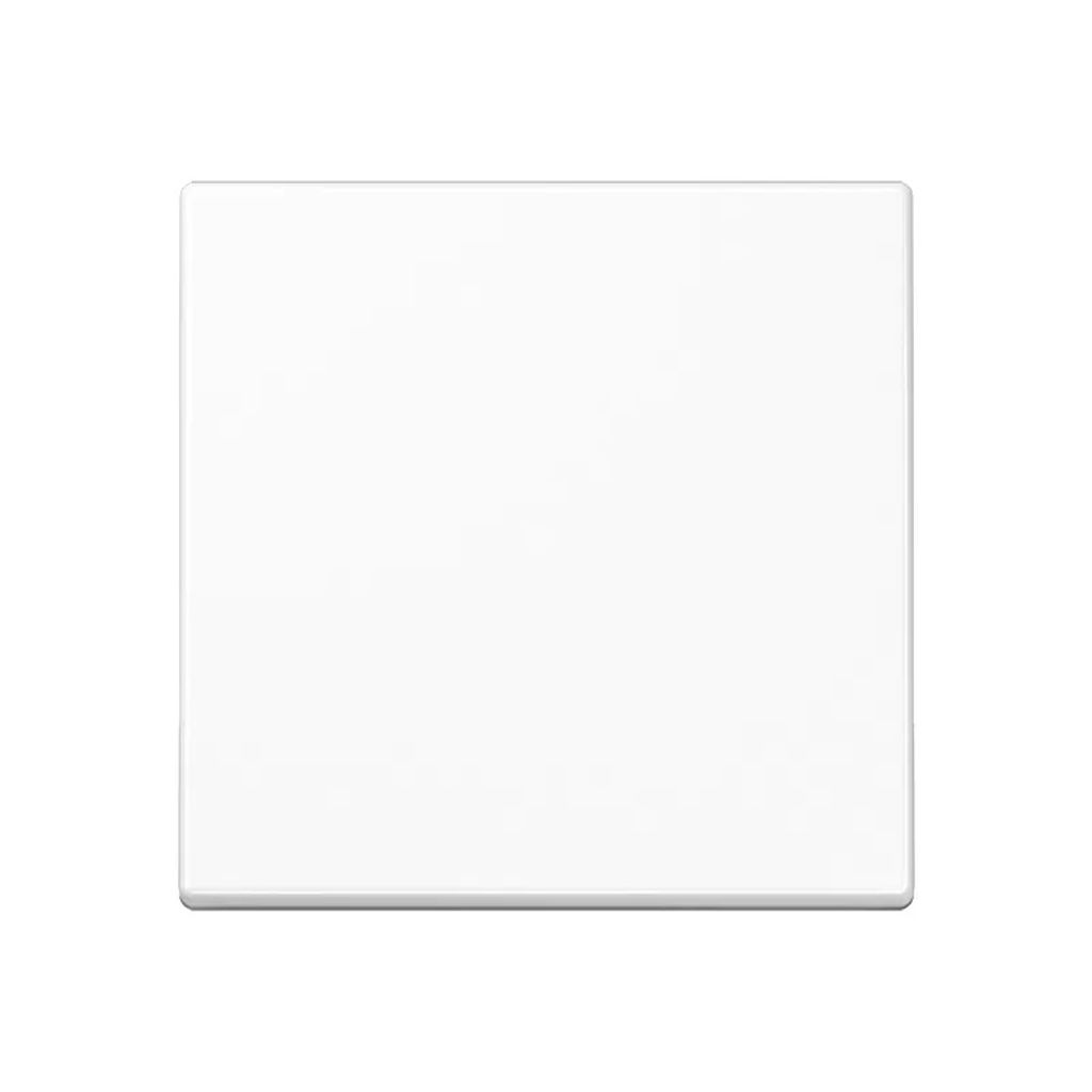 JUNG A1700WW A1700WW Steuertaste Standard (A1700WW)