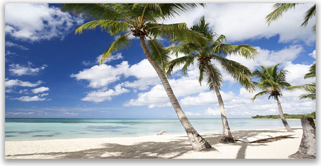 Tulup Leinwand-Bilder 120x60 Wandbild Canvas Kunstdruck Meer Strand Palmen Landschaft