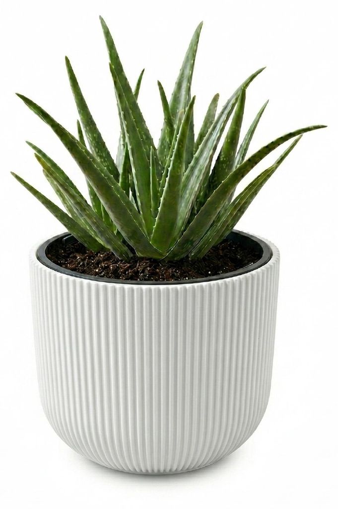 Prosperplast Blumentopf Übertopf Milly herausnehmbar Produktbild 