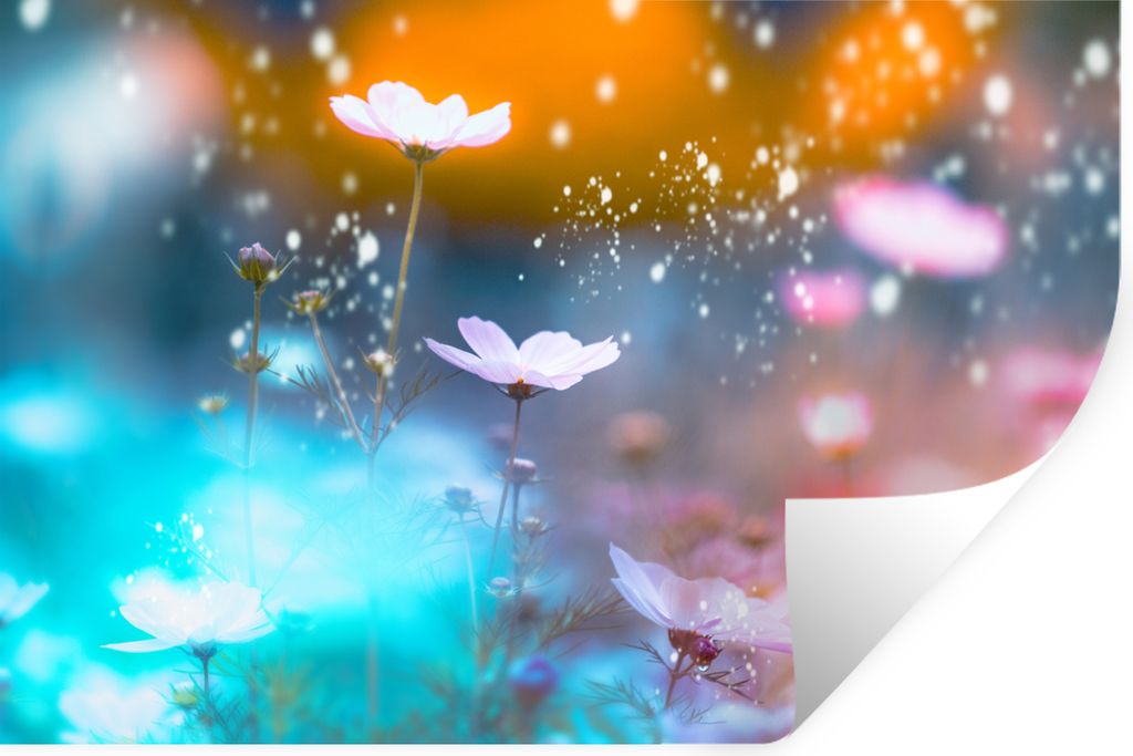 MuchoWow - Wierderverwendbar - Selbstklebend