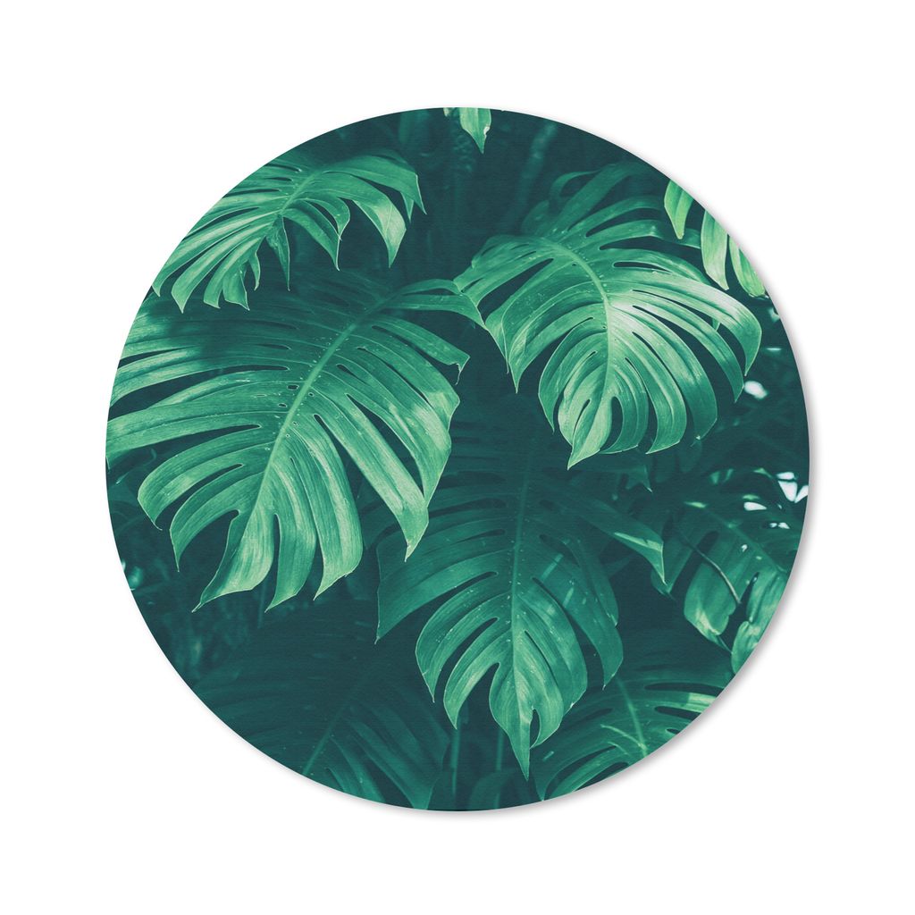 MuchoWow Mauspad Mousepad Monstera - Blätter - Pflanzen - Dschungel - Natur 50x50 cm - Mousepads - Maus Mat - Pad - Mausunterlage - Vinyl