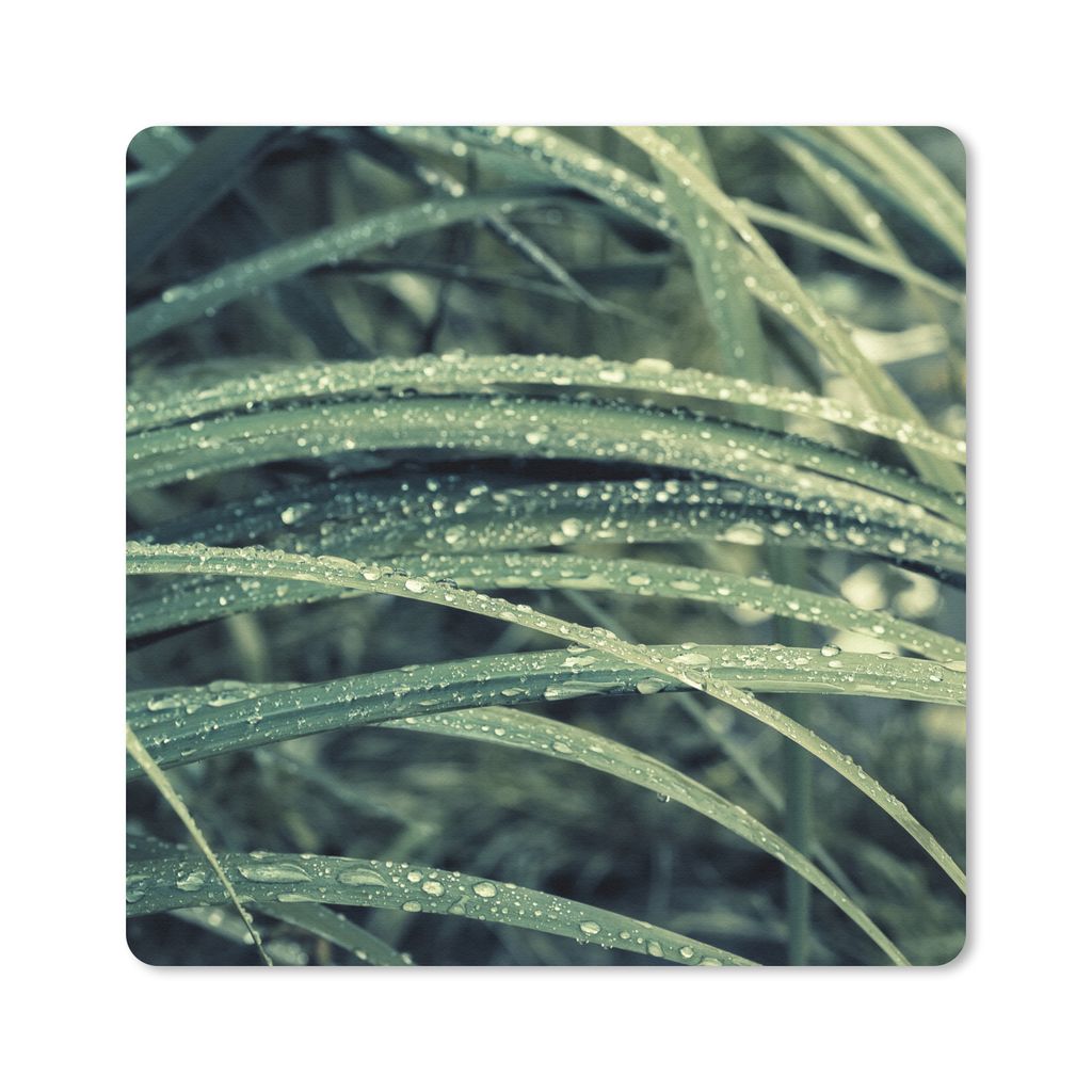 MuchoWow Mauspad Mousepad Grünes botanisches Gras nach Regenfällen 30x30 cm - Mousepads - Maus Mat - Pad - Mausunterlage - Gaming