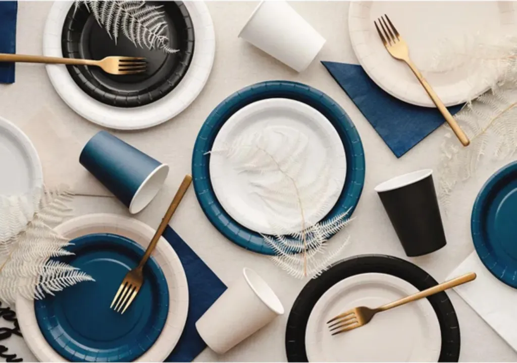 Assiettes jetables noires 23 cm rigides - Set de 6 pièces déco chic