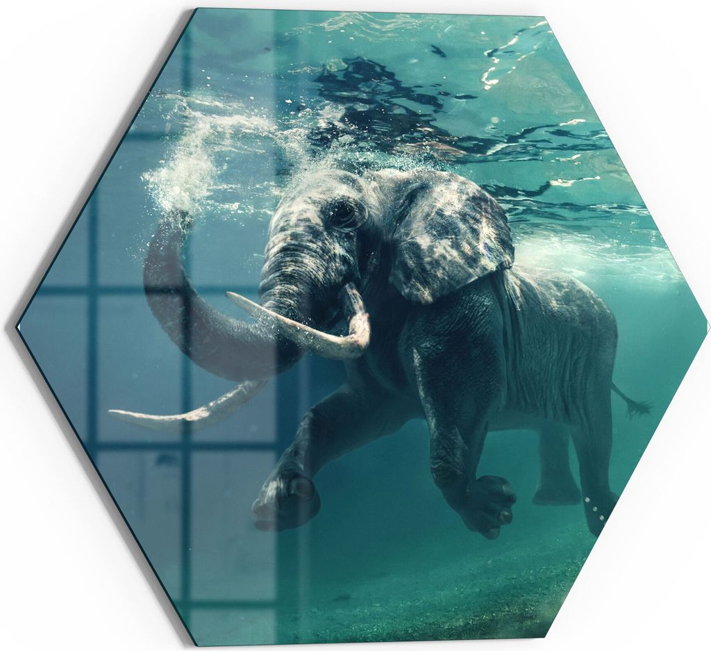 DEQORI Glasbild Echtglas 40x35 cm 'Schwimmender Elefant' Wandbild Bild modern Deko