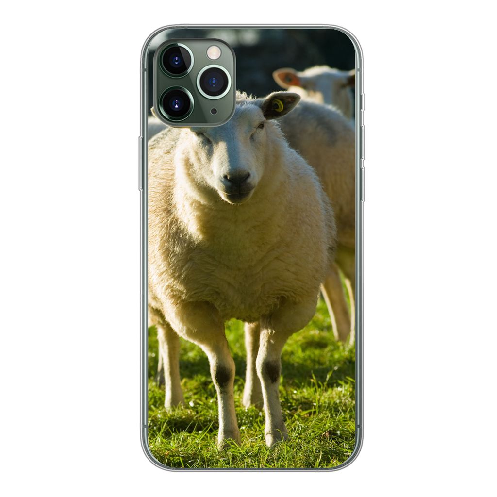 MuchoWow Handyhülle Schutzhülle Hülle für iPhone 11 Pro Max Schafe - Tiere - Wolle Silikon Softcase Handy Hülle - Schutz
