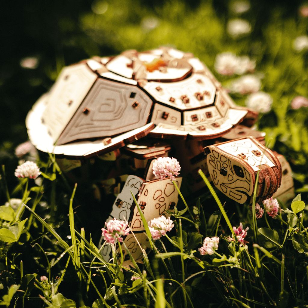 Mechanische Schildkröte aus Holz Produktbild 