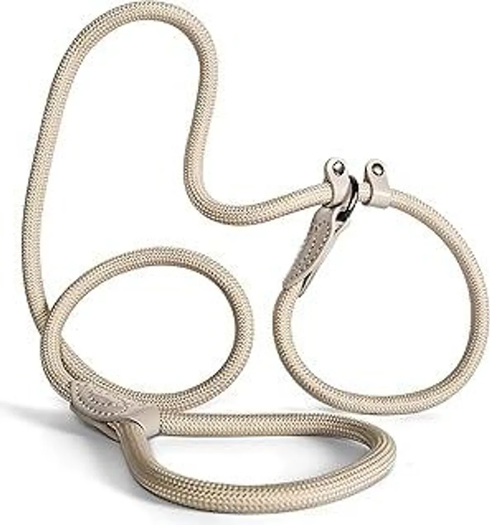 Guinzaglio Retriever 150 cm per cani grandi e piccoli – Collare con guinzaglio integrato – Guinzaglio Slip Leash & guinzaglio da addestramento per cani – Guinzaglio da guida per Labrador e Retriever – Ammortizzatore (Taupe, da 15 kg)