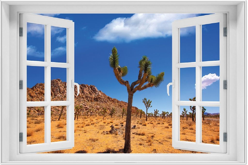 Wallario Wandbild mit Fenster-Illusion: Palmlilie im Nationalpark Yucca Valley Wüstenlandschaft, Größe: 61 x 91,5 cm, Poster mit weißem Alumini...