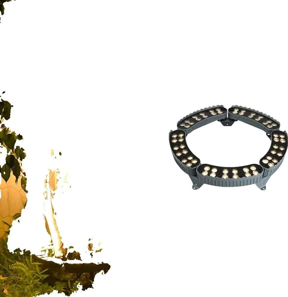 Projecteur extérieur anti-pluie pour jardin sombre lot de 5 LED
