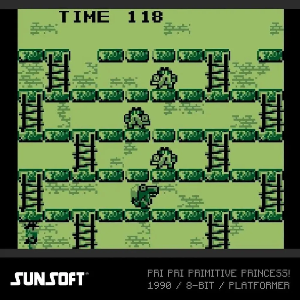 Evercade Sunsoft Collection 2 : La Solution pour Jouer en Physique 8-Bit - 3