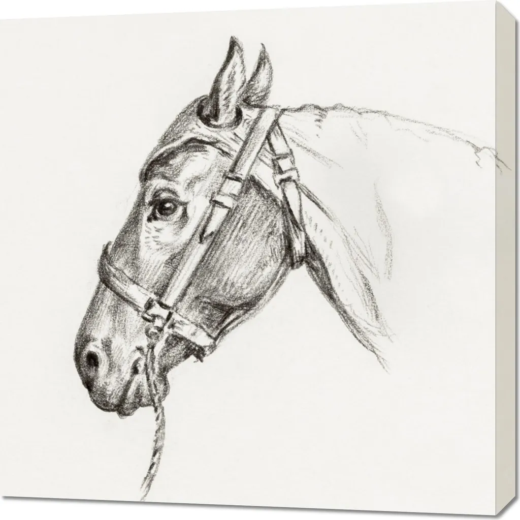 Vendita Quadro 70x70 Jean Bernard Testa di Cavallo 2 Vintage Tela
