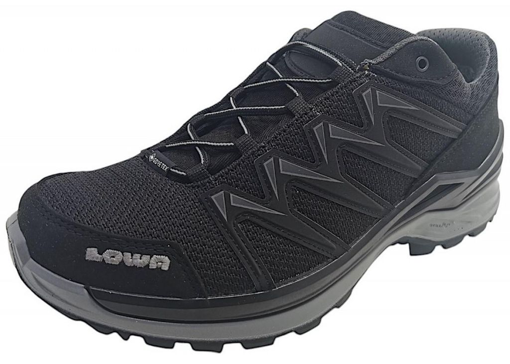 Chaussures de sport Lowa Innox Pro GTX LO pour hommes, Image du produit 
