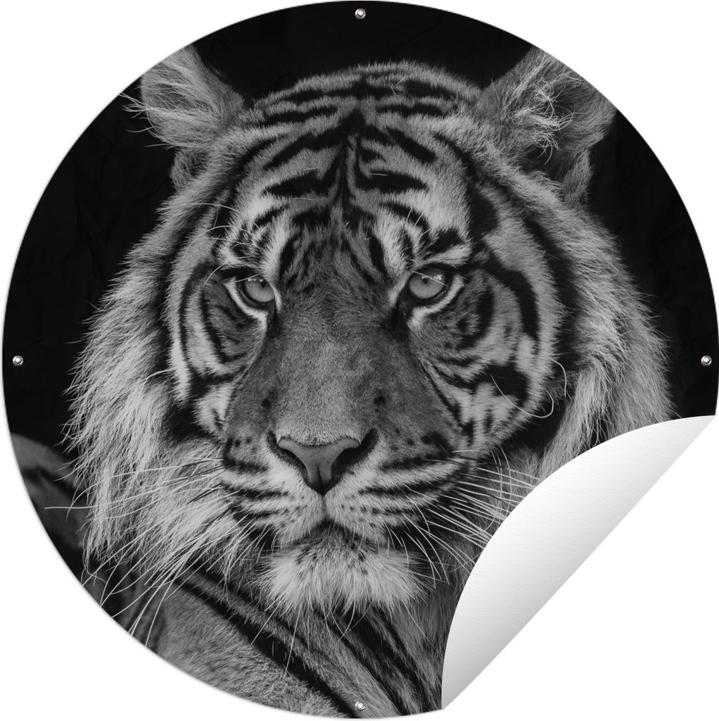 MuchoWow Gartenposter Outdoor-Poster Rund Tierprofil Sumatra-Tiger in Schwarz und Weiß Ø 60 cm Gartendeko Rundes Poster draußen