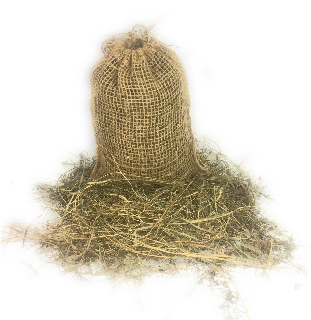 Ostergras Deko-Gras Natur Spreewald-Heu (150g) und Jutesack Produktbild 