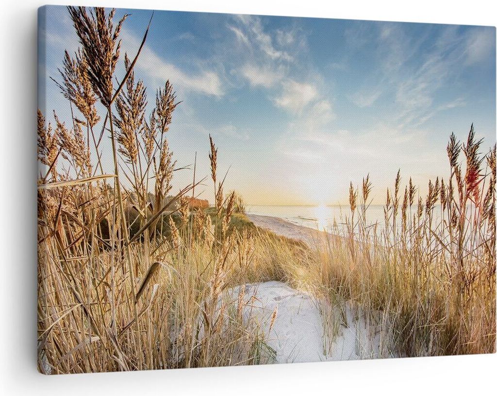 Bild auf Leinwand - Leinwandbild - Einteilig - Ähren Küste Sonne - 70x50cm - Wand Bild - Wanddeko - Wandbilder - Leinwanddruck - Bilder - Wanddek...