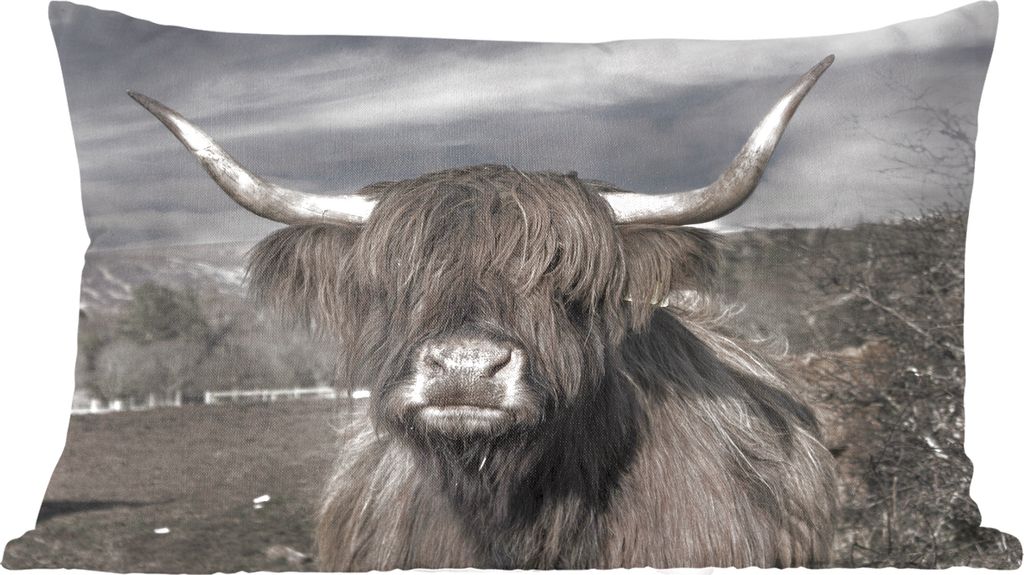 MuchoWow Zierkissen Sofakissen Wohnzimmer Dekokissen 60x40 cm Schottisches Hochlandrind - Porträt - Schwarz - Weiß - Tier - Wildnis - Natur - K...