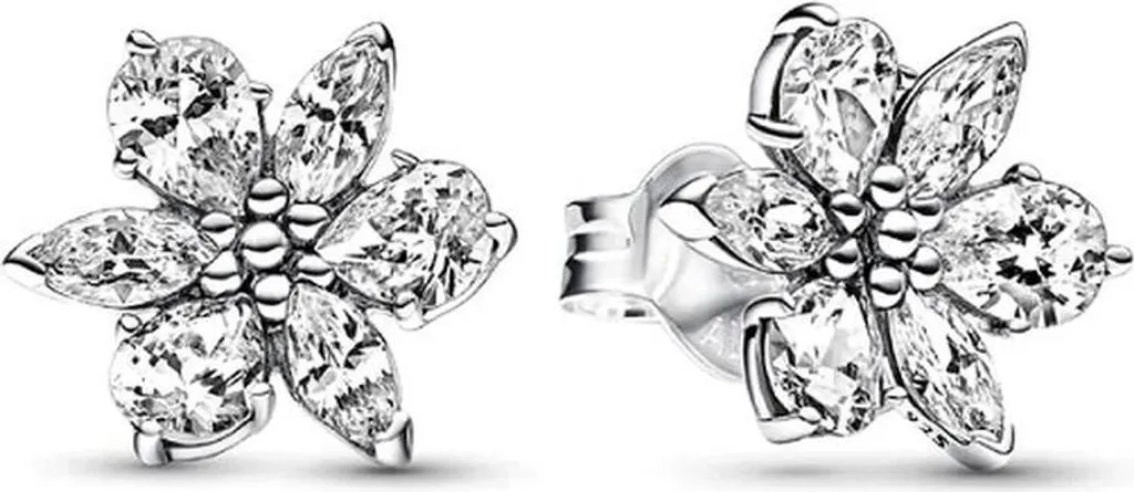 Boucles d'oreilles Femme Pandora 292633C01 en Argent 925 et Oxydes