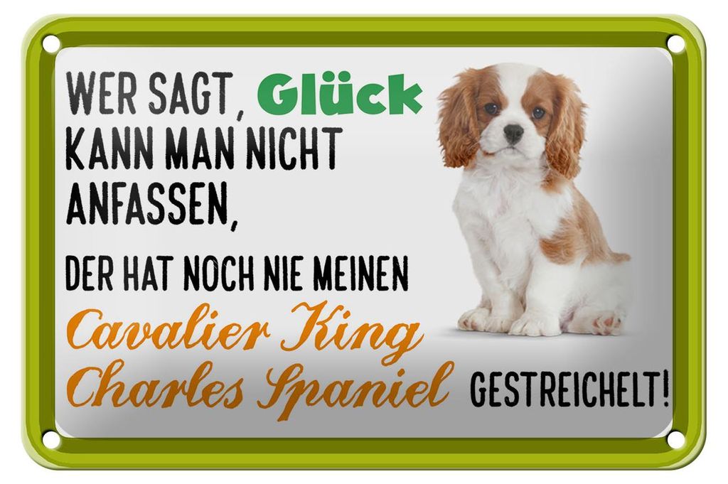Blechschild Spruch 18x12cm Cavalier King Charles Spaniel