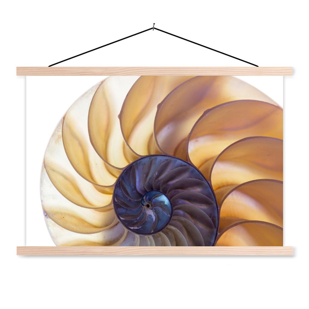 MuchoWow Textilposter Muschel - Blau - Meer 120x80 cm mit holzfarbenen Rahmen - Aufhängeset