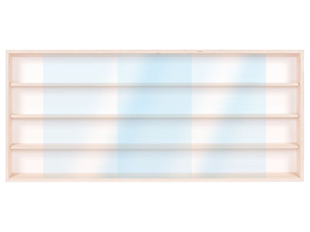 V100.4 Vitrine Regal Setzkasten Wandvitrine Hängevitrine mit Plexiglas Regal 100 cm Fächer 4