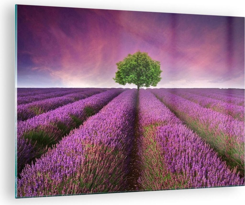 Bilder auf glas - Wiese lavenda Sommer Landschaft - 70x50cm - Glasbilder - Wandbilder - Kunstdruck - zum Aufhängen bereit - Wanddekoration aus Gla...
