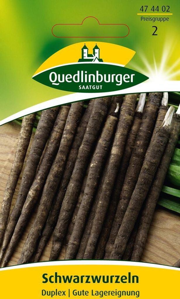 Schwarzwurzel, Duplex Produktbild 