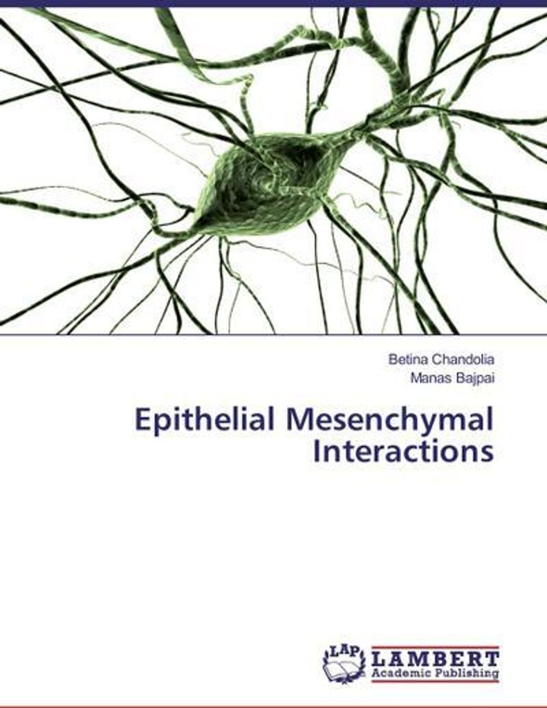 Epithelial Mesenchymal Interactions