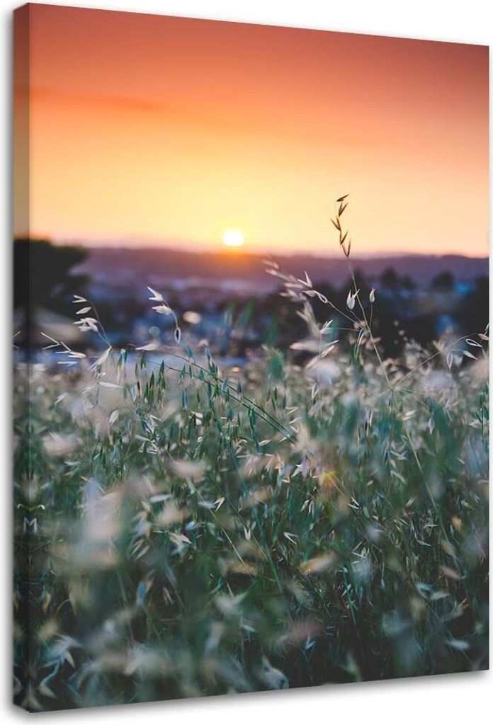 Leinwandbild wiese und sonnenuntergang 80x120 cm Feeby orange wandbild bereit zum aufhängen