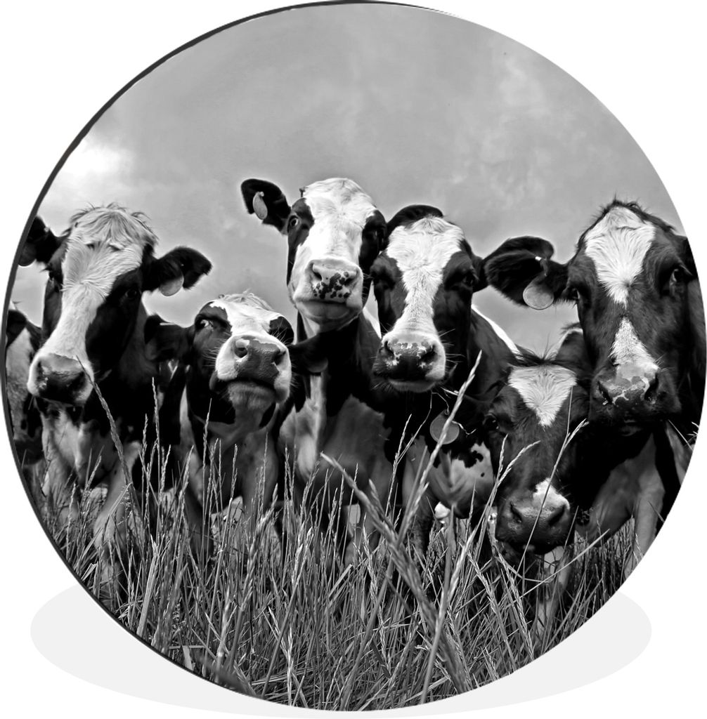 MuchoWow - Wand Kreis - Wandbild - Schlafzimmer - Aluminium Bild - Kinderzimmer - Wohnzimmer Dekoration - Wandschmuck