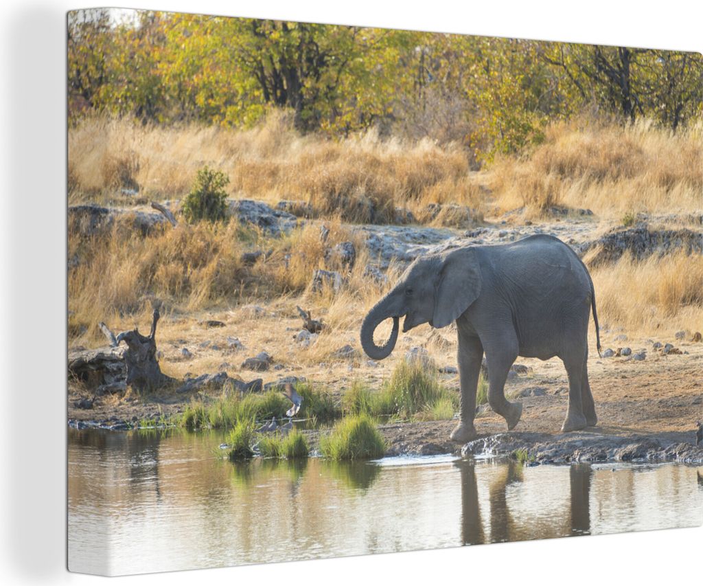 OneMillionCanvasses - Leinwandbilder - 140x90 cm, Elefantenbaby an einer Wasserpfütze in Namibia, Wandbilder Kunstdruck Wanddekoration