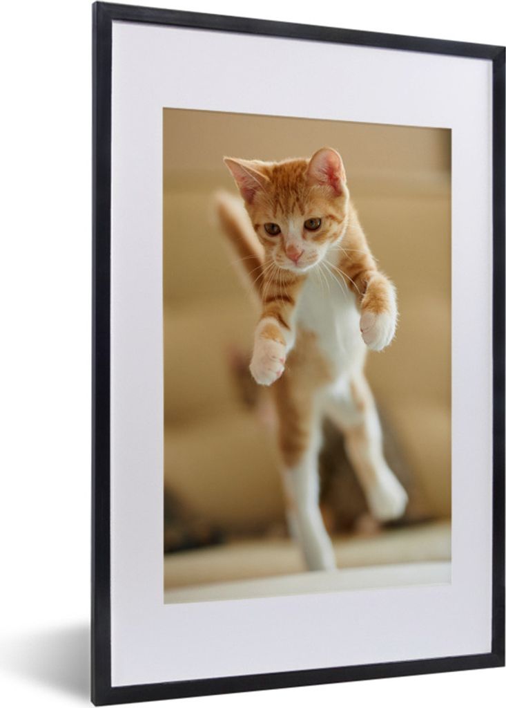 MuchoWow Gerahmtes Poster Eine Nahaufnahme eines springenden Kätzchens 40x60 cm - Poster mit Schwarzem Bilderrahmen Wandposter Rahmen Foto Bilde...