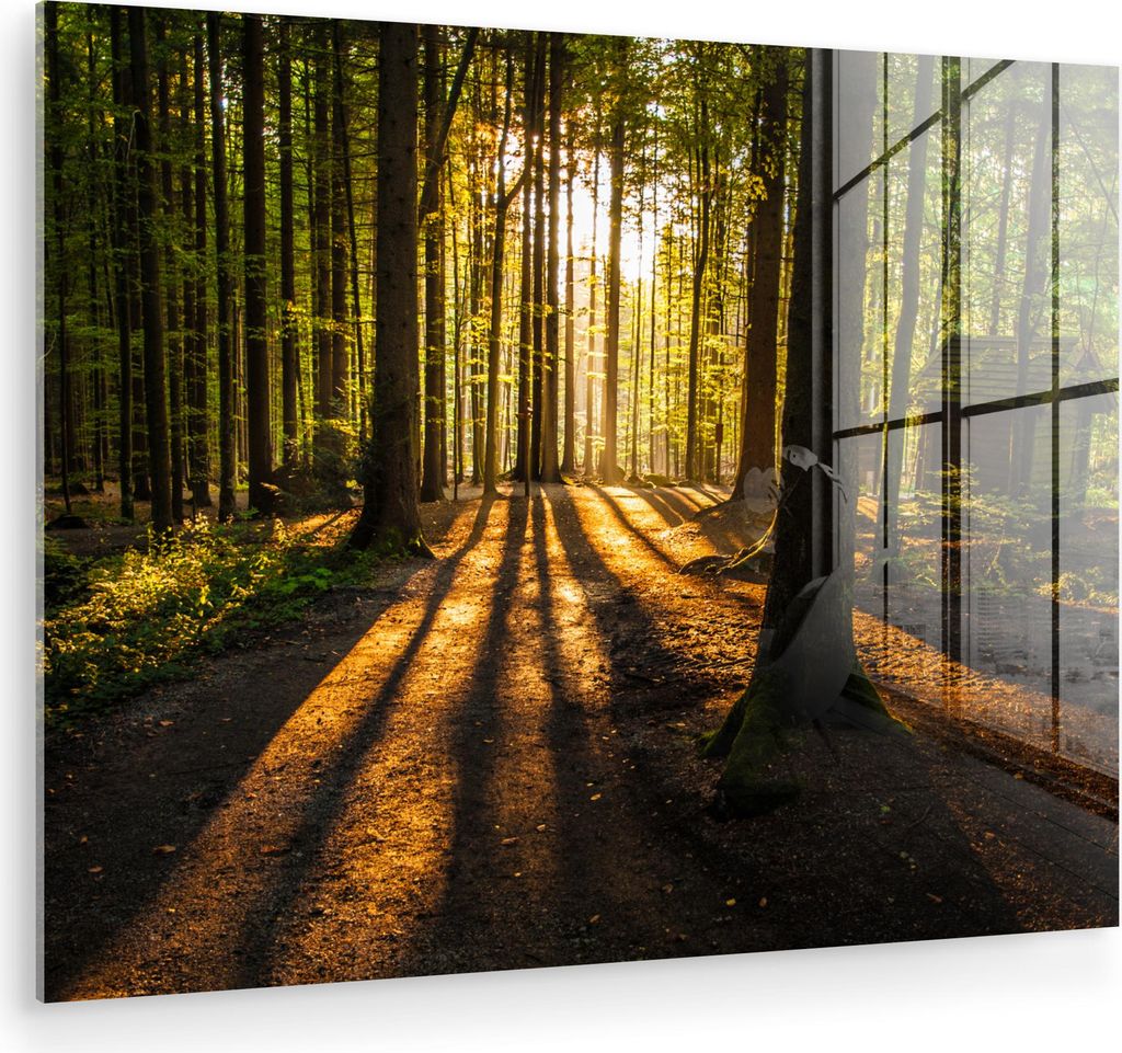 MuchoWow Glasbilder - Bilder auf Wandbild - Foto auf Glas Sonne - Bäume - Wald - Landschaft - Natur 80x60 cm Wanddekoration aus Glas - Acrylglasbi...
