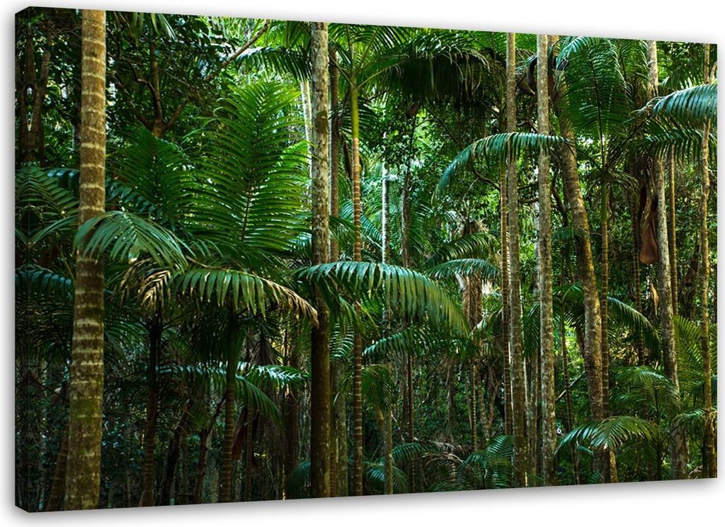 Leinwandbild tropischer wald palmen grün 90x60 cm Feeby grün wandbild bereit zum aufhängen