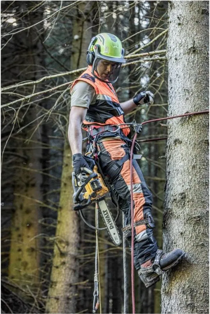DeWalt DCMCST635N Tronçonneuse à chaîne 54V FlexVolt 35cm Brushless Solo