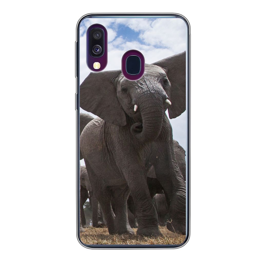 MuchoWow Handyhülle Schutzhülle Hülle für Samsung Galaxy A40 Elefant - Tiere - Natur - Flachland Silikon Softcase Handy Hülle - Handy-Tasche