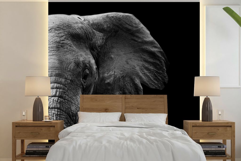 MuchoWow Fototapete für Wohnzimmer oder Schlafzimmer Wandtapete Vinyl Motivtapete Tiere - Elefant - Wild - Schwarz - Weiß - 280x280 cm - Hinter...