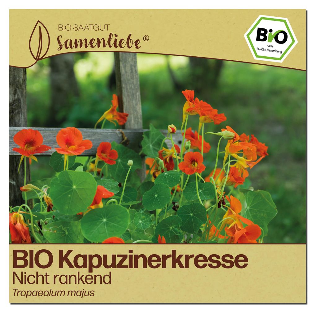 Samenliebe  Kapuzinerkresse Samen | Nicht rankend - essbar Produktbild 