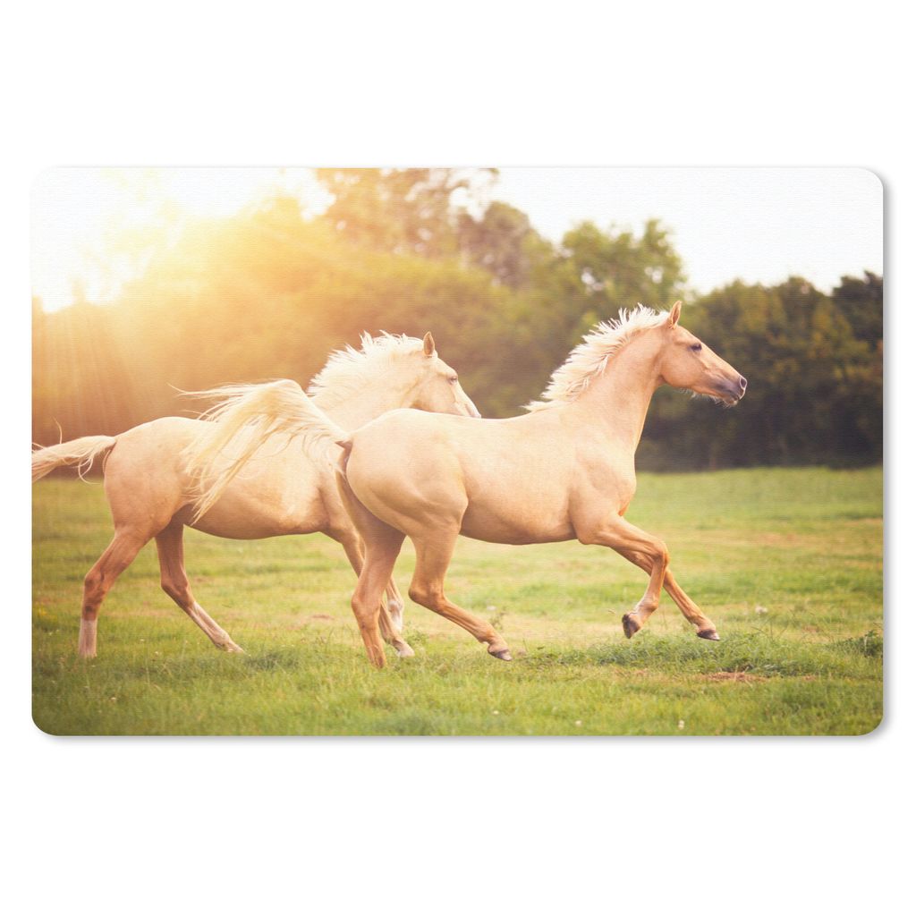 MuchoWow Schreibtischunterlage Pferde - Gras - Sonne 60x40 cm - XXL Mauspad - Großes Mauspad