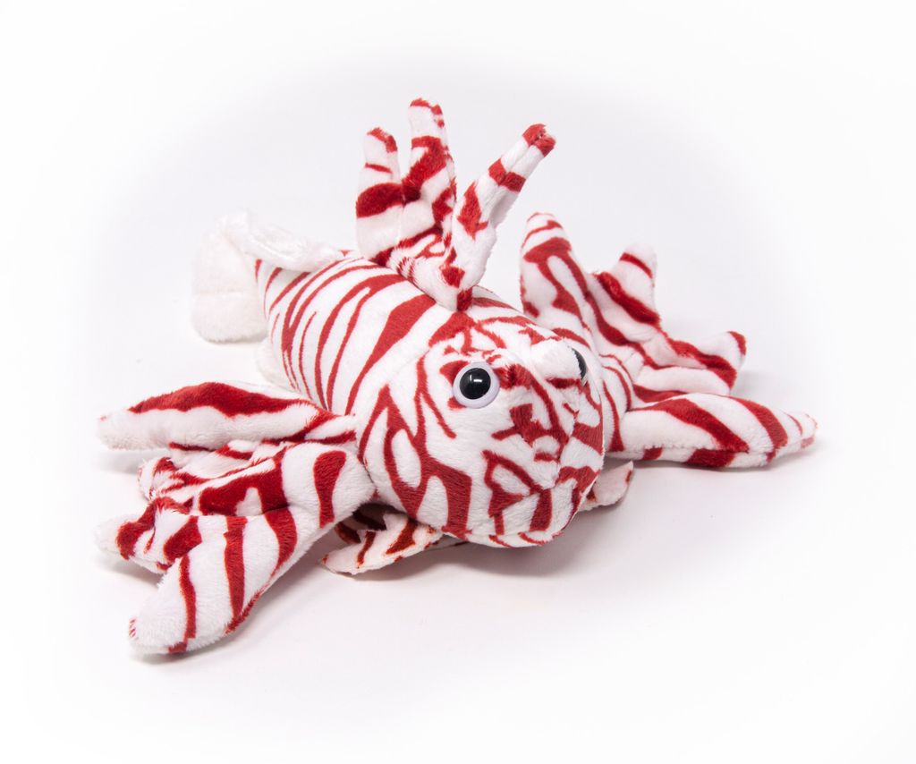 Cornelissen - Doudou - Poisson lion - 22 cm Image du produit 