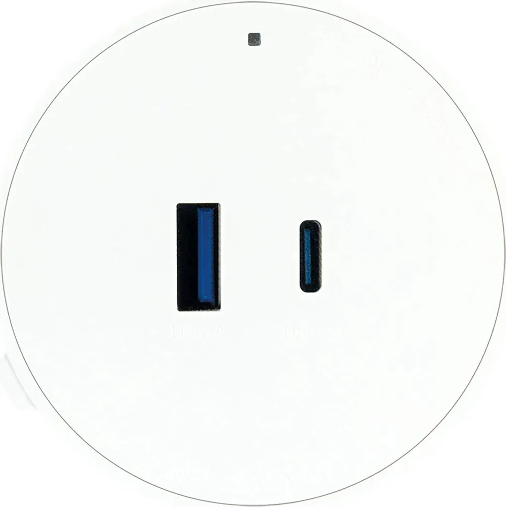 Module de Prise USB pour Rail Électrique Modulaire 20W Schwaiger