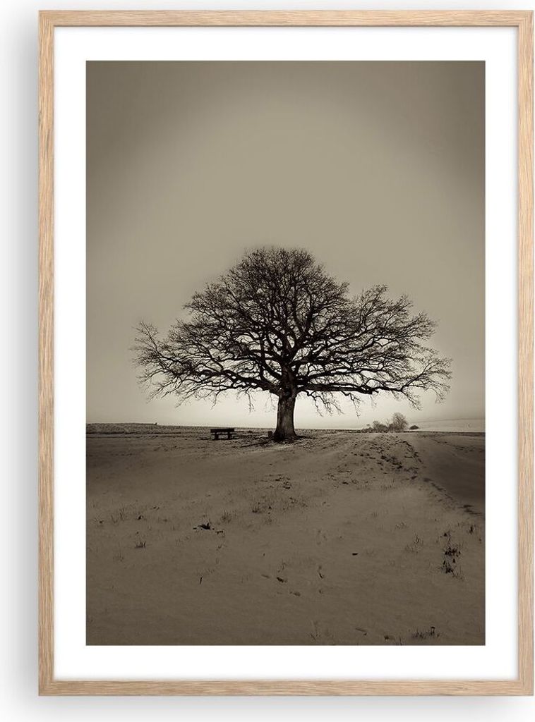 Gerahmtes Poster - Rahmen in heller Eiche - Baum Schnee Sepia - 50x70 cm - Wand Bild - Wanddeko - Wandbilder - Wandposter - Bilderrahmen - Bilder -...
