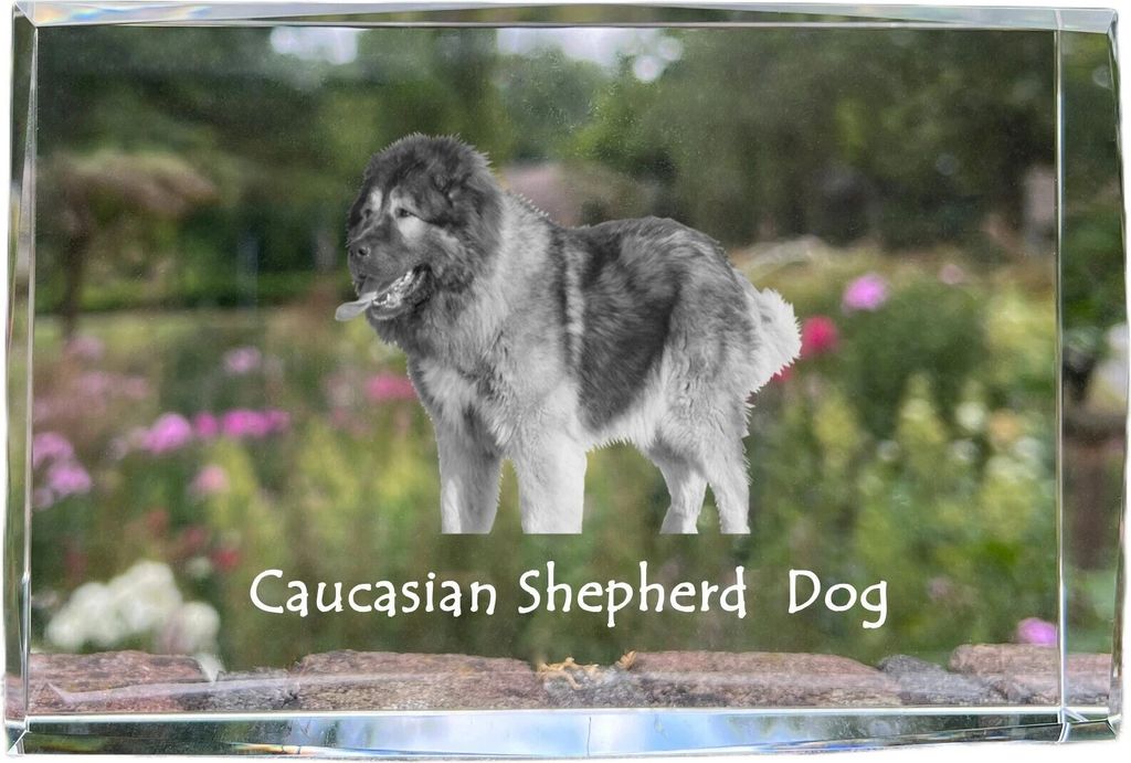 Kaukasischer Schäferhund, Kaukasischer Owtscharka - Kristall mit einem Hundebild, Bild im Glas, moderne Ausstellung des Art-Dog-Bildes.