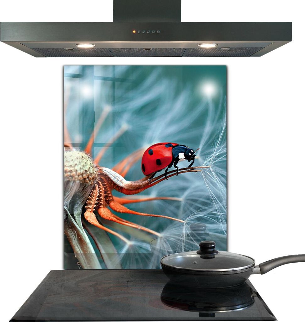 Spritzschutz aus Glas Küchenrückwand - Wandschutz für Herd und Spüle - 60x80 cm - Marienkäfer Roter Käfer