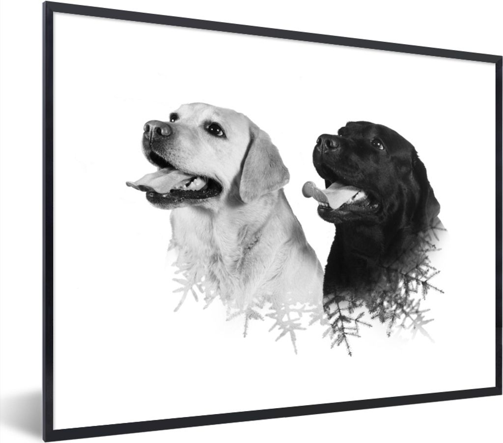 MuchoWow MuchoWow Gerahmtes Poster Hund - Zweig - Schwarz - Weiß 80x60 cm - Poster mit zchwarzem Bilderrahmen - Schwarzem - Mit Gestell