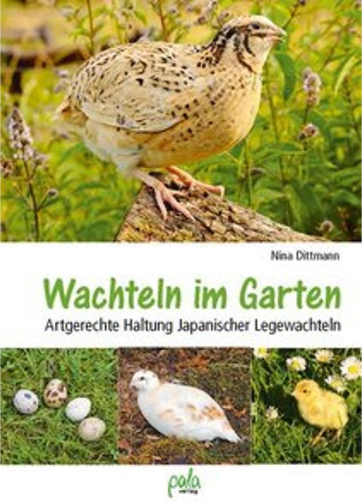 Wachteln im Garten Produktbild 