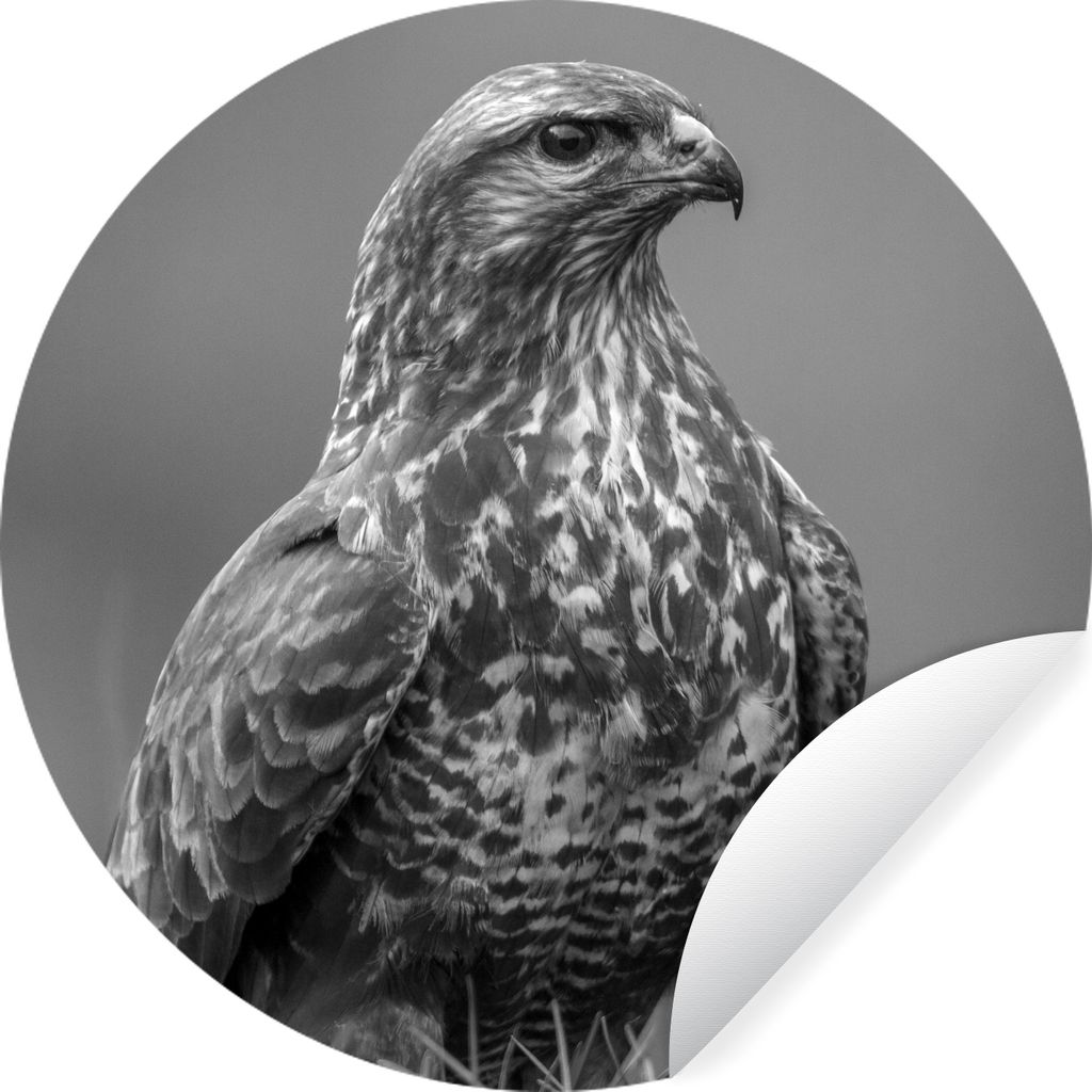 MuchoWow - Wandbild - Fototapete - Selbstklebend - Dekoration - Wandschmuck - Schlafzimmer