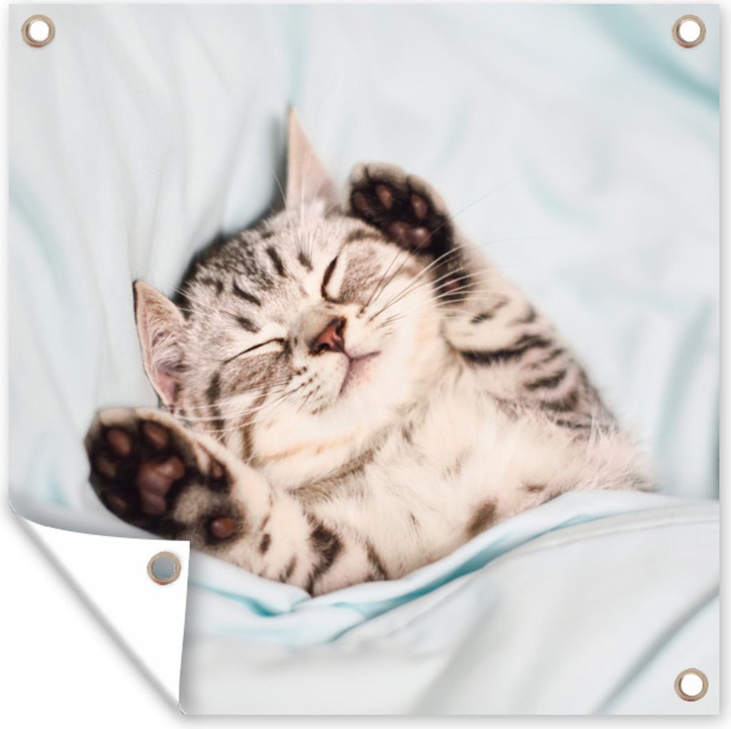 MuchoWow 50x50 cm Outdoor-Poster Gartendeko Sichtschutz Garten Poster für den Garten Kätzchen - Schlafen - Bett