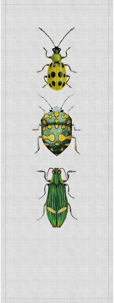 Tadessi Fototapete | Tiere | 1.00 m x 2.70 m | Grün | Weiß | Wandbild | Digitaldruck