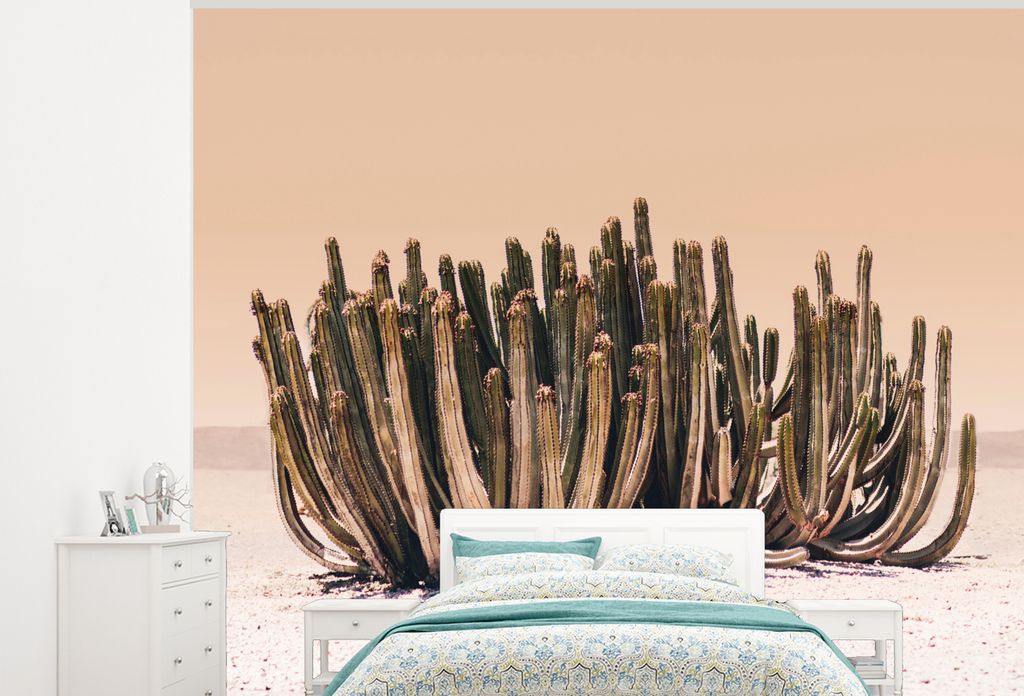 MuchoWow Fototapete für Wohnzimmer oder Schlafzimmer Wandtapete Vinyl Motivtapete Kaktus - Pflanze - Natur - Grün - 300x240 cm - Fototapeten