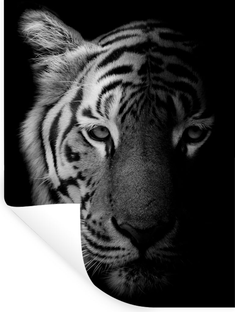 MuchoWow Wandtattoo Wandsticker Wandaufkleber Tiger - Tiere - Wild - Schwarz - Weiß 30x40 cm Selbstklebend und Repositionierbar - Sticker - Deko...